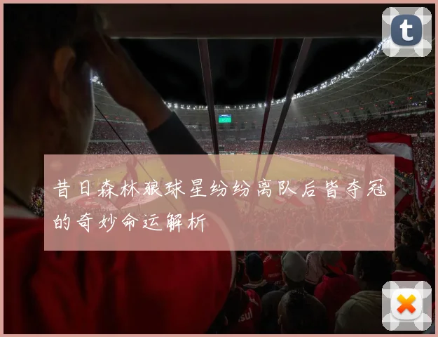昔日森林狼球星纷纷离队后皆夺冠的奇妙命运解析